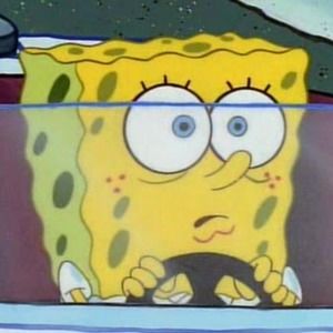 Meet your Posher, Bobby